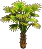 Palme 2