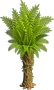 Tropische Palme 2