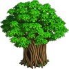 Tropischer Baum 1