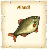 Aland!