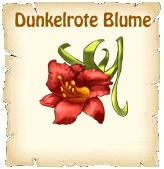 Dunkelrote Blume
