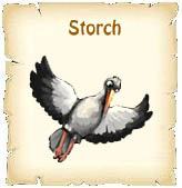 Storch